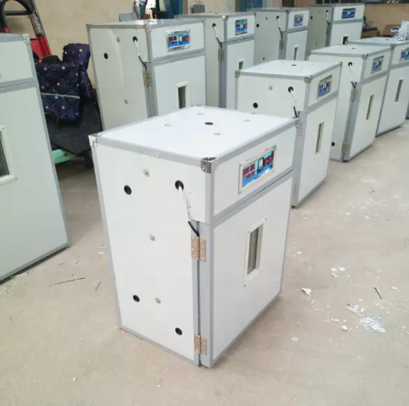 Incubateur d'œufs